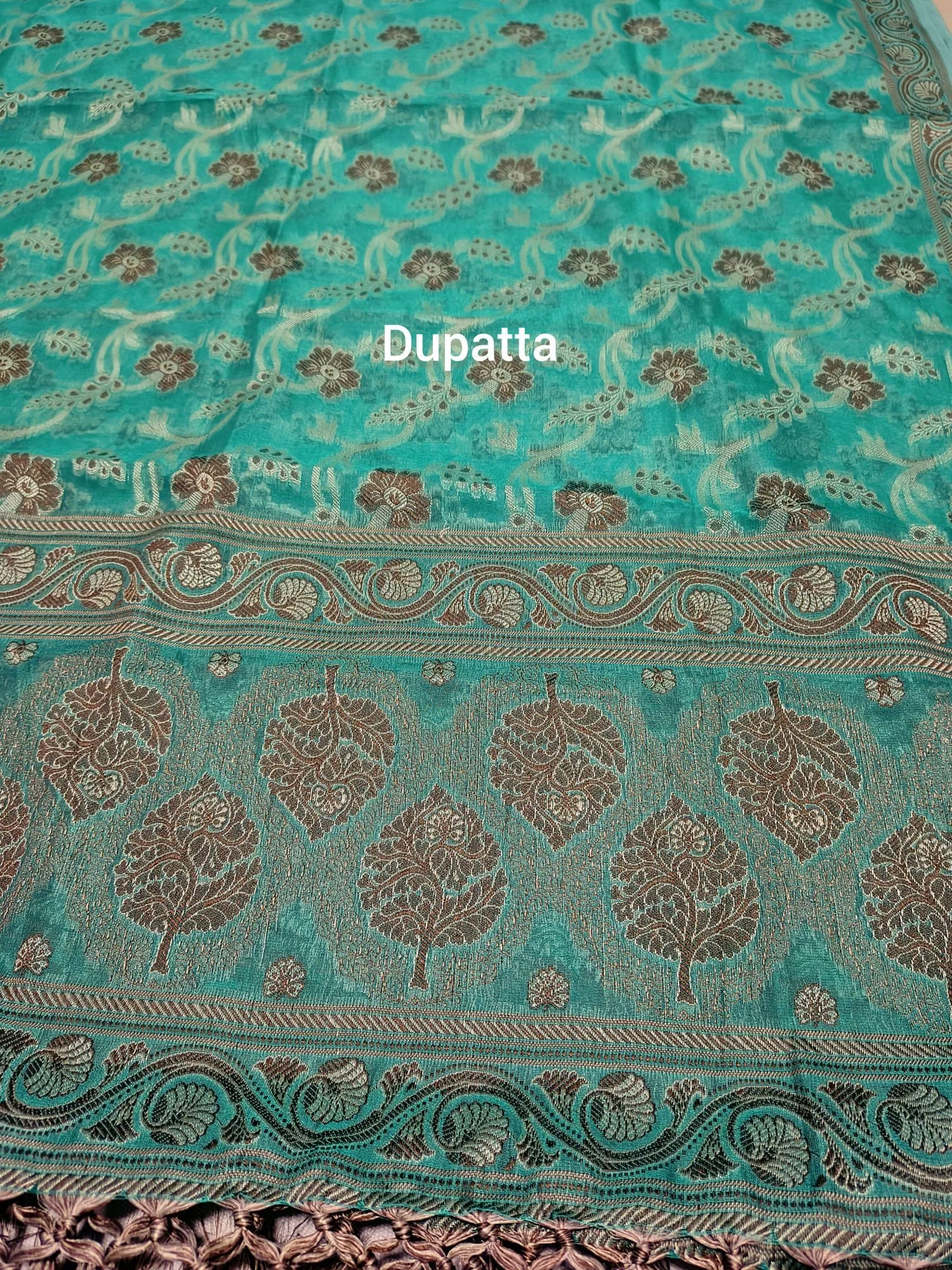 Allover Resham Weaving Suit view 4